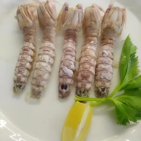 Vettore Dal 1947 酒店